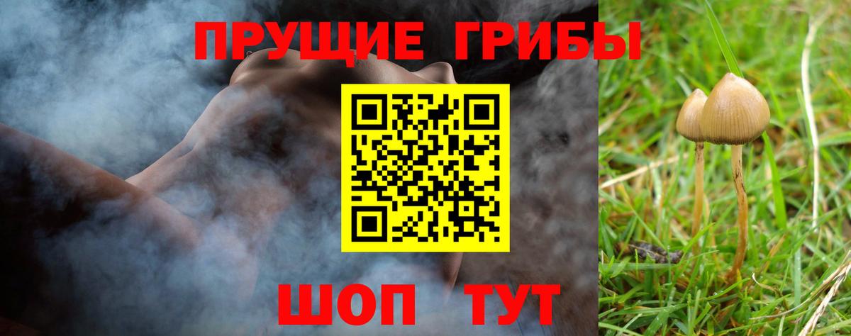Псилоцибиновые грибы мухоморы Углич